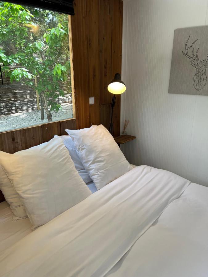 Superbe Cabane Jacuzzi Jardin Clim Wifi Parking Meyreuil Eksteriør billede